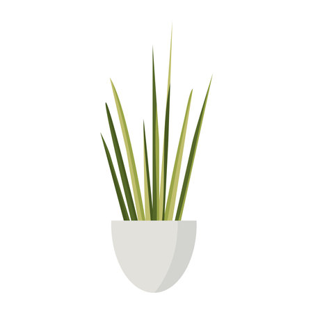 Indoor Houseplant Trifasciata In A Pot Flat Decorative Illustrationのイラスト素材