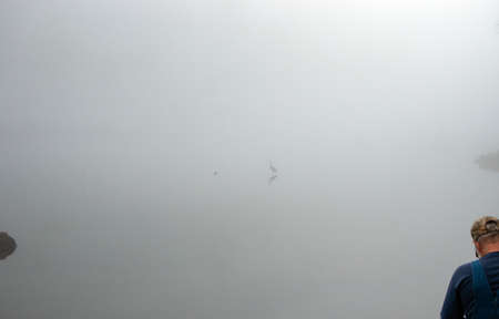 An unidentified man and a bird makes for a rather moody scene on the very foggy morning at an...