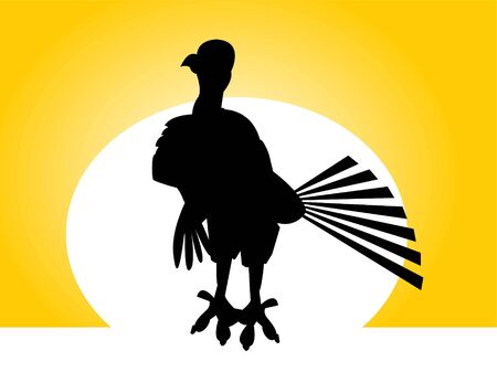 thanksgiving turkey on abstract background
の写真素材