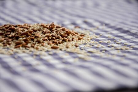 Rice seeds and sesame seeds on a checkered tableclothの写真素材