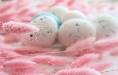 Composition with blue easter eggs and pink bunny(rabbit) tail grass on white background. Selective...