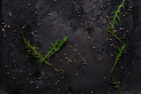 Black food background with fresh aromatic ruccola, copy space. Top viewの写真素材