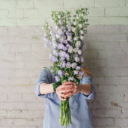 Young woman holds a bunch of delphinium flowers against an old brick wall. Beautiful spring floral backgroundの写真素材