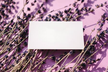 Business card mock up with lavender flowers on pink backgroundの写真素材