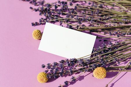Business card mock up with lavender flowers on pink backgroundの写真素材