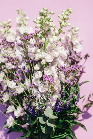 Bunch of fresh delphinium flowers on pink background. Floral backgroundの写真素材