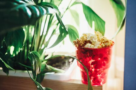 Caramel popcorn in red cupの写真素材