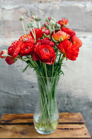 Bouquet of red ranunculus flowers in vase on a rustic background. Close up