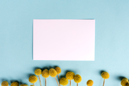 Postcard mock up template for design with yellow flowers on 
turquoise background.の写真素材