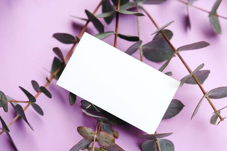 Business card mock up with eucalyptus leaves on violet background.の写真素材