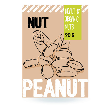 Beautiful vector hand drawn peanut organic nut. Template elements for packaging design. Modern illustrations isolated on white background.のイラスト素材