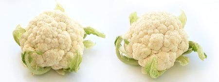 Ripe Cauliflower head with few green leaves. Isolated on White Background, with a shadow. fresh vegetable. Healthy food from a garden.の写真素材