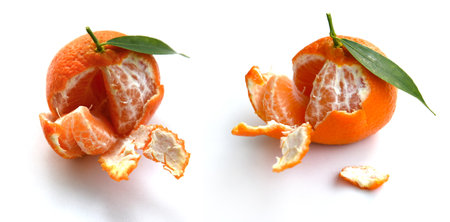 Orange tangerine or tangerine closeup. Two half peeled fruit with green leaf isolated on white background. Couple of ripe tasty clementines. Bright fresh citrus from Greek garden.の写真素材