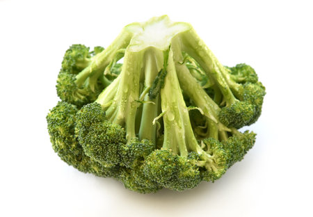 Fresh broccoli cabbage closeup isolated on white background. Green raw vegetable, just washed florets are covered by water drops. Harvest from sunny organic garden. Diet and healthyの写真素材