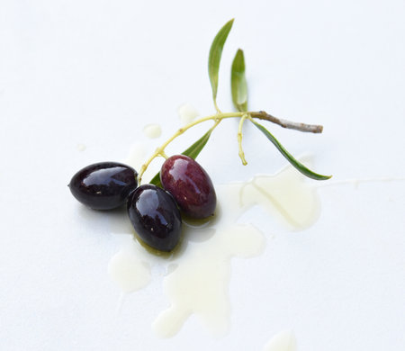 Ripe black olives, fresh branch with green leaves was dipped in olive oil, isolated on white background with shadows. Abstract pattern of oil drops. Small twig with fruit as healthの写真素材