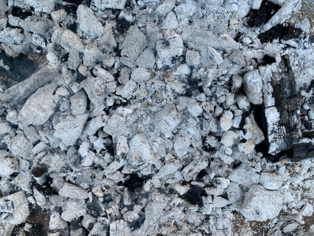 Ash grunge texture. Gray ashes as natural background. Pile of cinder after wood burned out in...