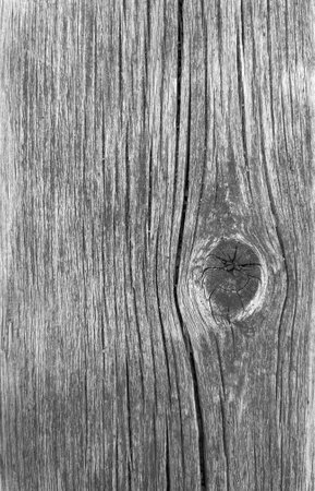 Texture of wood background closeup, top view, smooth surface with natural pattern and various wood grain and knots details.の写真素材