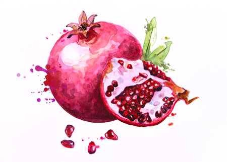 Red pomegranate, whole and a piece, leaves and kernels, isolated on white background, hand drawn watercolor of ripe granatum fruit and juicy seeds, arils, or grains. Fresh and healの写真素材
