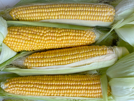 Fresh corn and leaves,full frame, macro shot.Fresh food on the market. Organics,thanksgiving.Four...