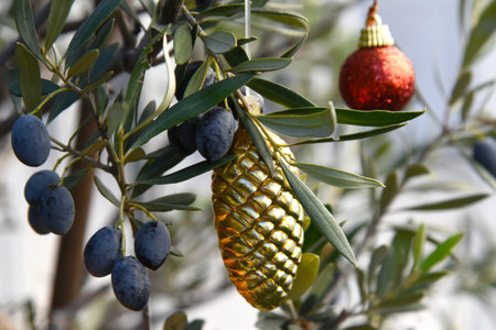 Olives on a tree with New Year's toys. Greeting card. Merry Christmas and Happy New Year. New Year in Greece. Olive oil and olives.の写真素材