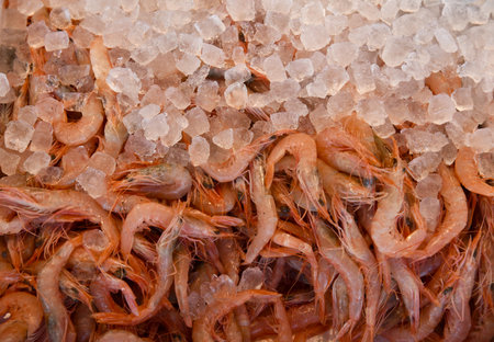 Fresh raw shrimp close-up lying on ice in a supermarket in Greece. Healthy eating. Seafood.の写真素材