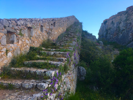 Up the stone stairs. Old stairs covered with moss and grass.の写真素材