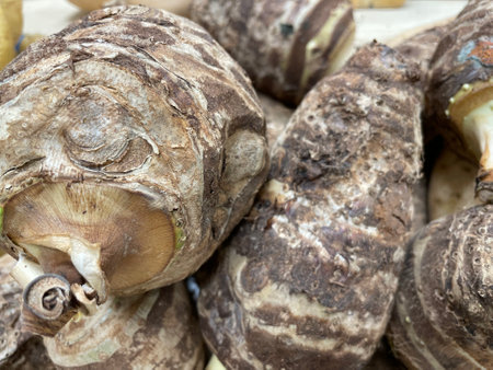 Fresh big yam sold in supermarket, fresh vegetables from a market close up, autumn fruits. Healthy eating. Natural eco-farm product grown in a Greek garden.の写真素材