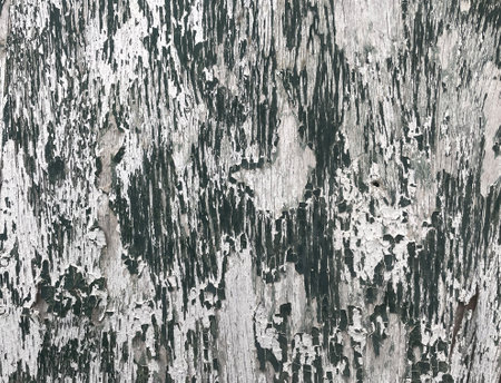 Old weathered antique board as a vintage background. Old, dull green color of cracked, peeling paint, revealing grayish wood underneath.の写真素材