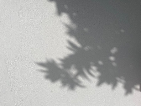 Shadow of leaves against white house wall. Great light background for textの写真素材