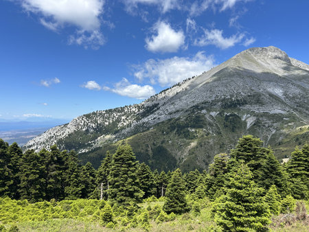 beautiful nature in Greece. Mountains and forests. Beautiful picture of outdoor recreation, clean airの写真素材