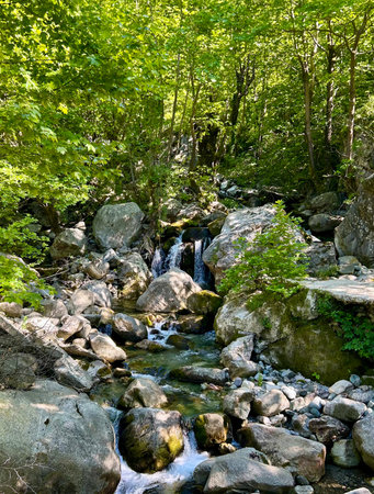 A quiet forest landscape with a small stream flowing over rocks in Greece. The sunlight filtering through the foliage creates a peaceful atmosphere. Nature feels untouchedの写真素材