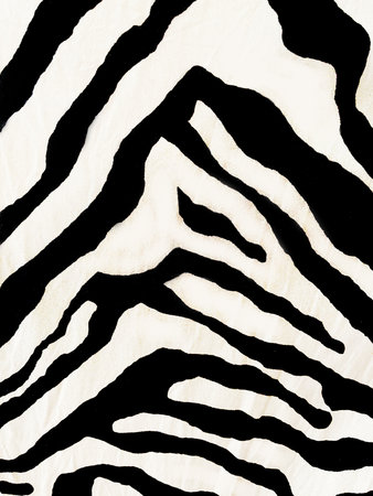 A bold and stylish zebra print fabric with sharp black and white stripes, creating a dynamic and...