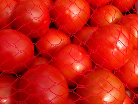 tomatosの写真素材