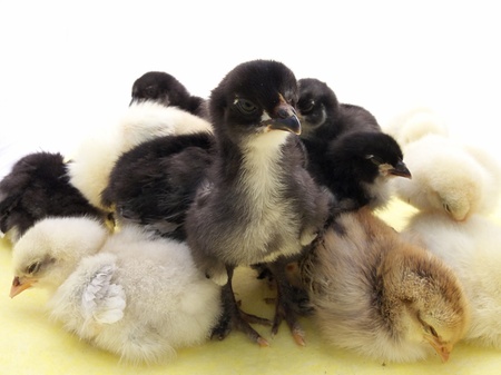 all the best forの写真素材