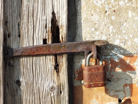old wood