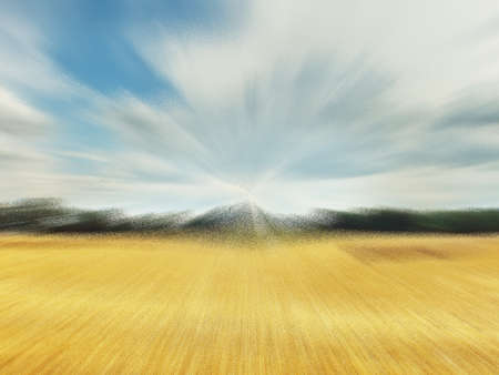 cornfieldの写真素材