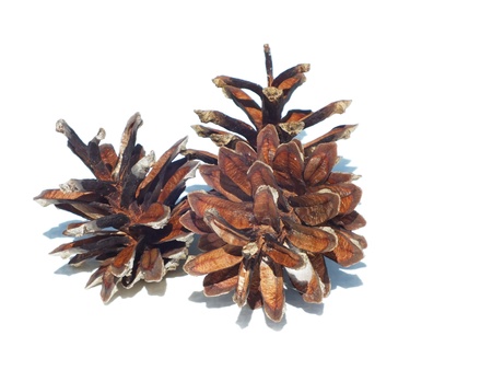 dekorationsの写真素材