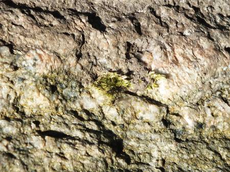 surface of the marble with brown tint