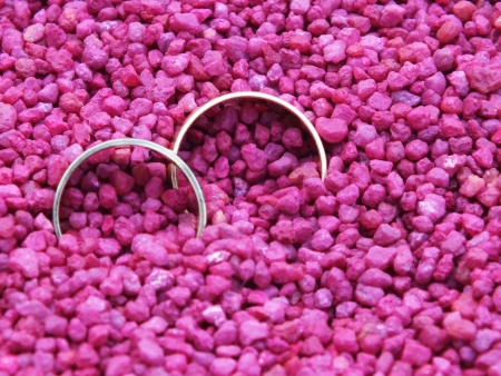 Wedding rings in small stonesの写真素材