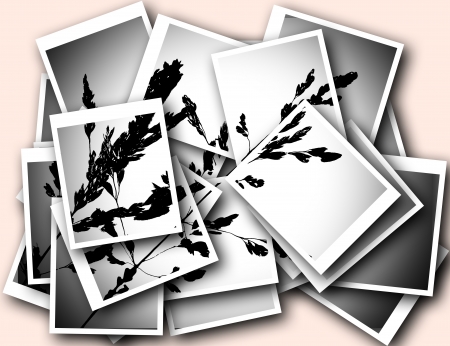 single blossom colorful, modern, abstract set in sceneの写真素材