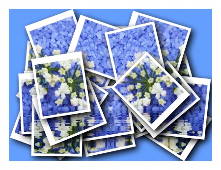 single blossom colorful, modern, abstract set in sceneの写真素材