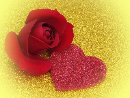 single blossom colorful, modern, abstract set in sceneの写真素材