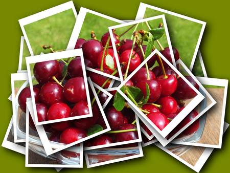 freshly picked from the tree bio churchesの写真素材