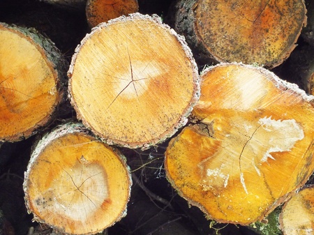 signed by the weather as old wood backgroundの写真素材