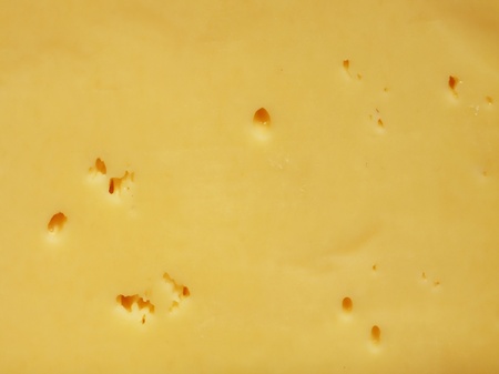 sliced cheese on a board from oakの写真素材