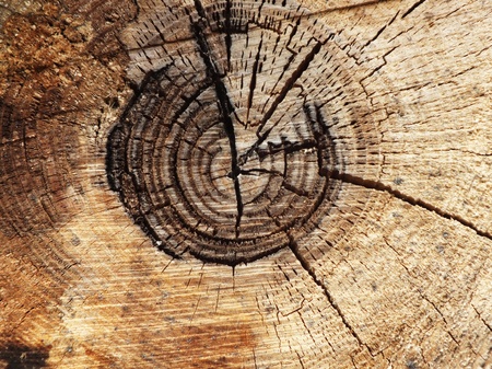 signed by the weather as firewood backgroundの写真素材