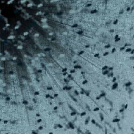 color pattern