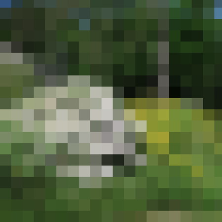 many small digital colorful pixel as a modern patternの写真素材