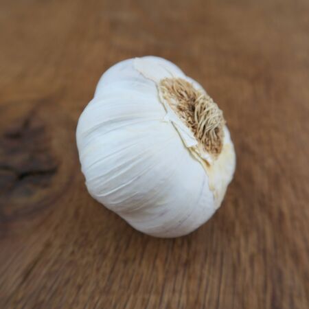 a white garlic bulb on an oak boardの写真素材