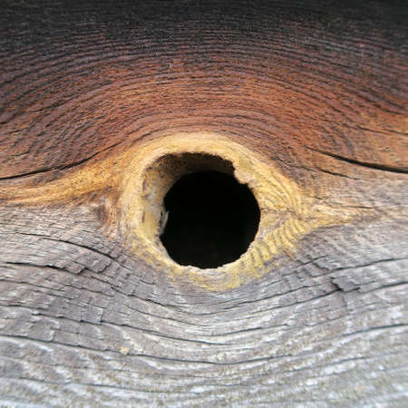 Wood, texture from old, vintage, rain and wind, weathered wood taken in natureの写真素材